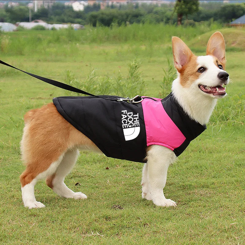 The Dog Face Winter Padded Vest - Small to Medium Sized Breeds